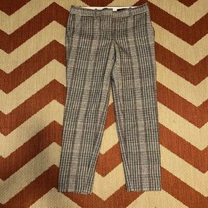 J Crew pants